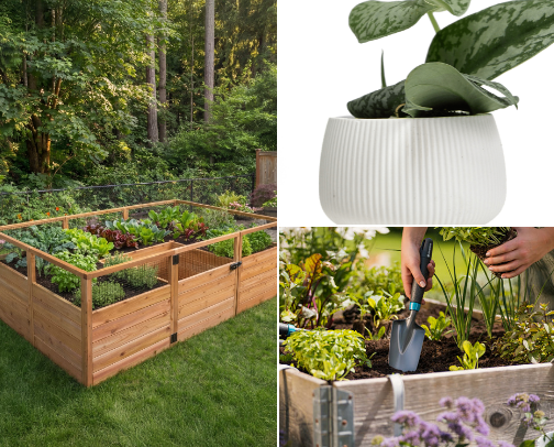 Earth Day Devices cover photo collage