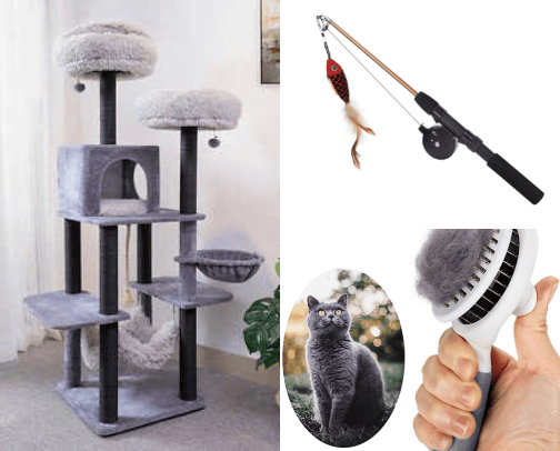 Must haves for a (Norwegain Forest) cat cover photo collage