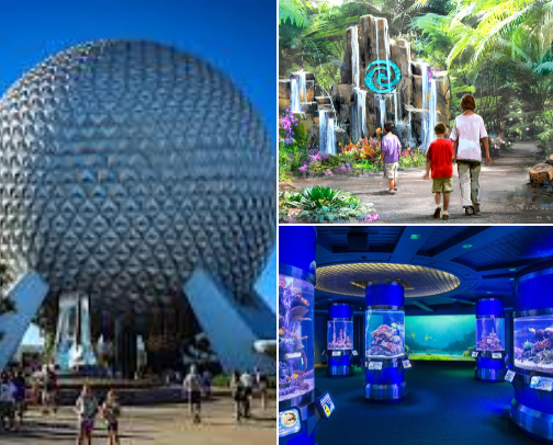 Disney World Epcot recs cover photo collage