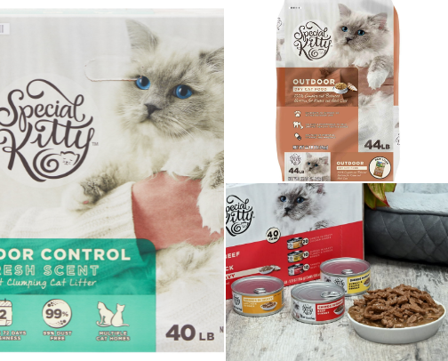 Cat Cache cover photo collage