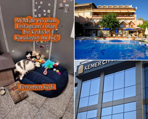 Looking for a Good Hotel in Levent, Istanbul, Turkey? Start Here cover photo collage