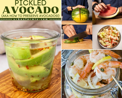 Things You Didn't Know You Could Pickle cover photo collage