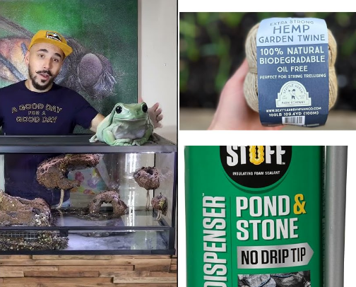 how I built a frog paradise called a Palladium! cover photo collage
