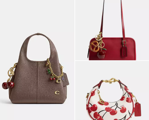 Best Coach Woman's Bags 👜 cover photo collage
