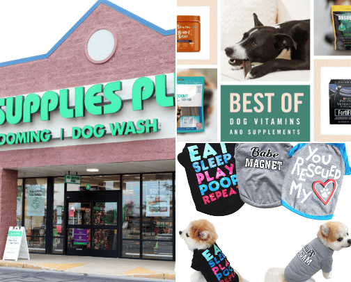 Your best friend “PET”. And all the stuff they need cover photo collage