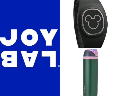 Disney Travel cover photo collage