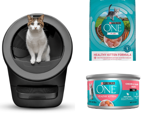 Kitten Essentials cover photo collage