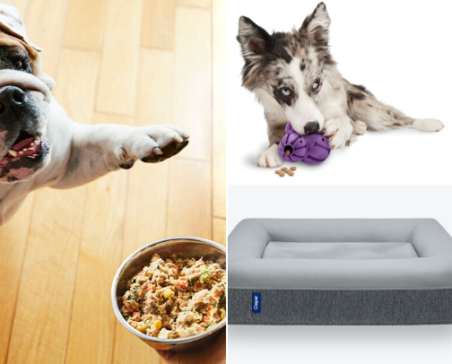 🔥Spoil Your Pet 🐾 cover photo collage
