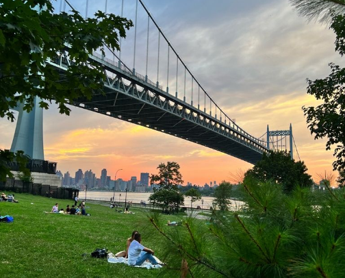 My top local recs cover photo collage