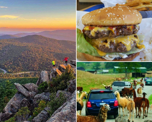 Must do’s in Virginia cover photo collage