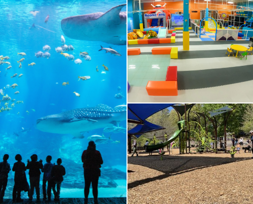 Family Fun in Atlanta cover photo collage