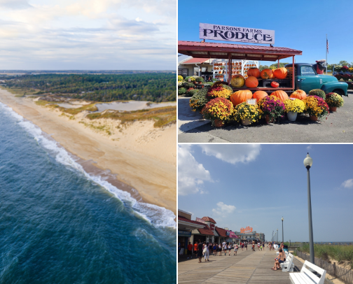 Places to visit in lower slower Delaware cover photo collage