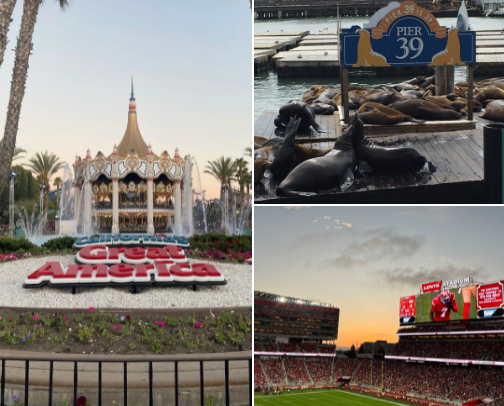 best spots in the bay cover photo collage