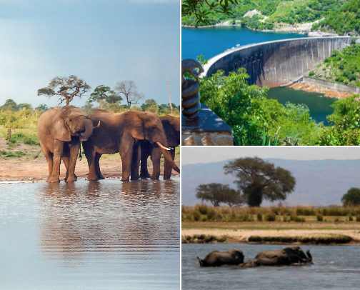 My top Marondera recs cover photo collage
