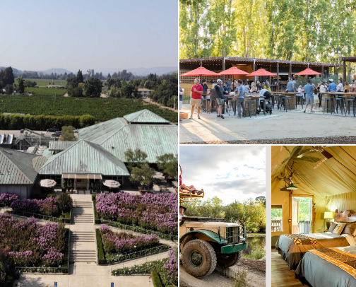 Kid-approved/Parent-approved Napa Spots cover photo collage