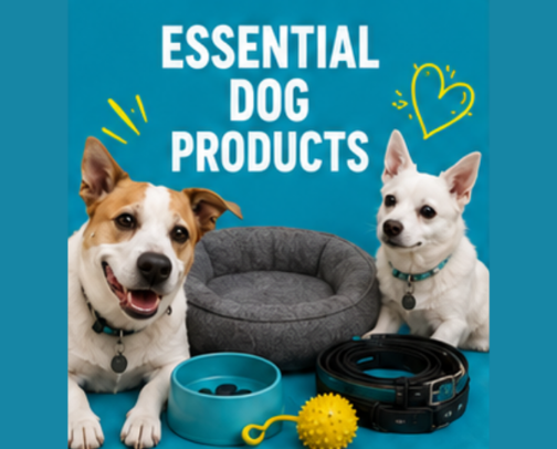 Essential Dog Products: A curated list of must-haves we use daily—perfect for every dog guardian! cover photo collage