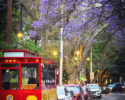 Amazing Mexico City cover photo collage