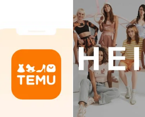 Temu SHEIN and all sorts cover photo collage