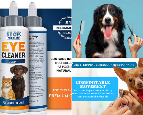 Purrfect Companions: Adorable Pets & Accessories cover photo collage