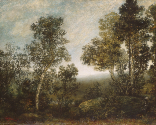 My morning garden flow, tea, & skincare! cover photo collage