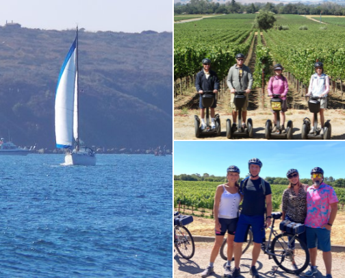 Sonoma Valley California cover photo collage