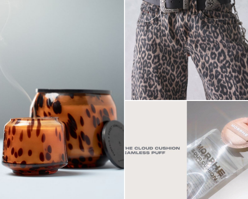 My current Obsessions — fall favs of the year!! cover photo collage