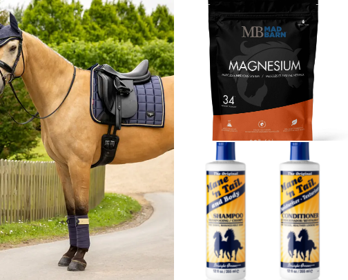 Time to shop Horse Supplies - blankets, supplements & more! cover photo collage