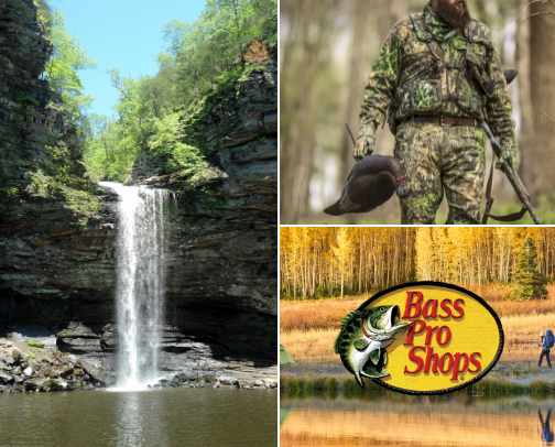 Nature list cover photo collage