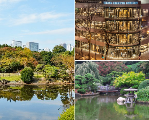 Trending Places to Chill or Study cover photo collage