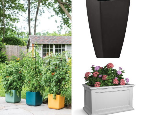 Garden containers to get growing! cover photo collage