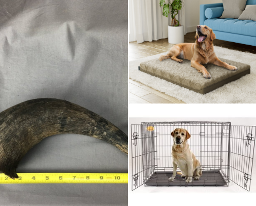 All things Pets cover photo collage