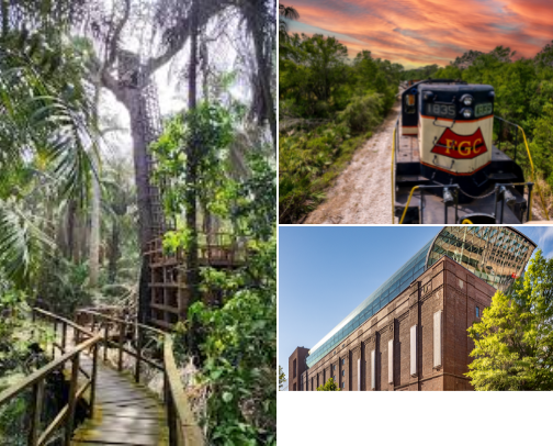 Travel 🧳 cover photo collage
