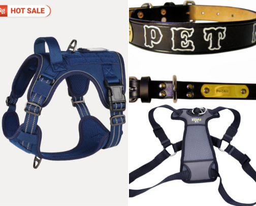 Everyday Dog Gear That Actually Holds Up cover photo collage