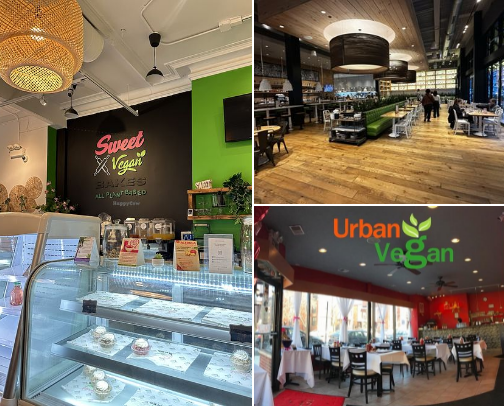 🧁🥙Best Eats in Chicago! cover photo collage