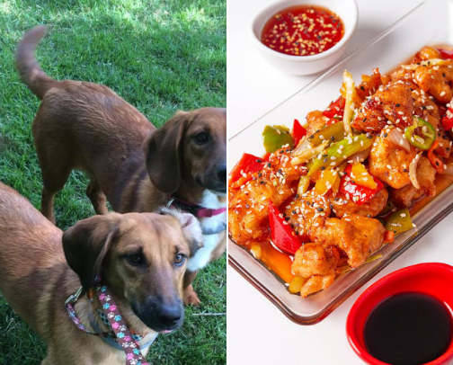 My top local recs cover photo collage