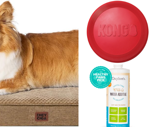 Pet Stuff! cover photo collage
