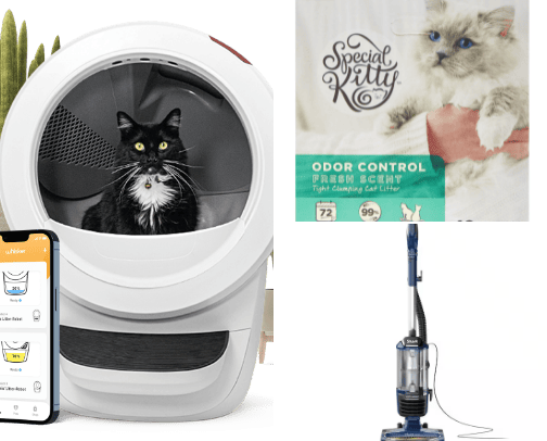 For the adopted kitty's cover photo collage