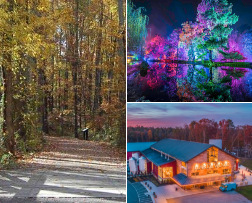 River City Living cover photo collage