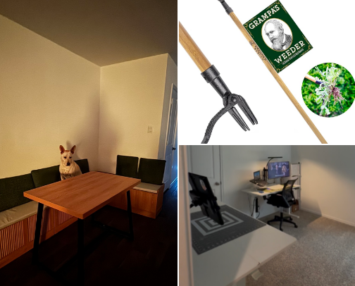 New Home Who Dis ? cover photo collage