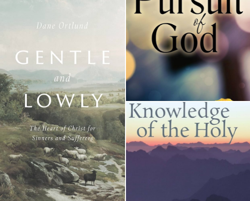 My Favorite Christian Books cover photo collage