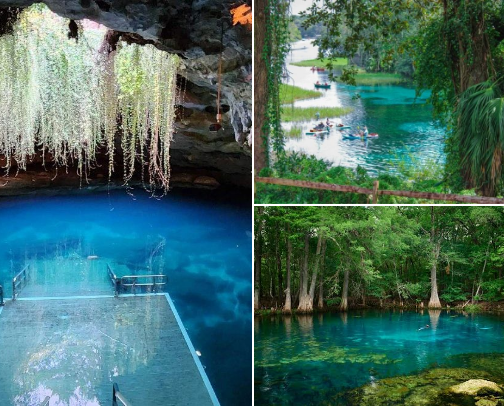 My top Williston recs cover photo collage