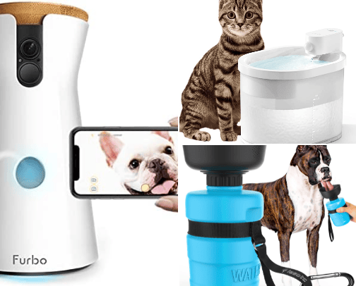 Pet supplies must cover photo collage