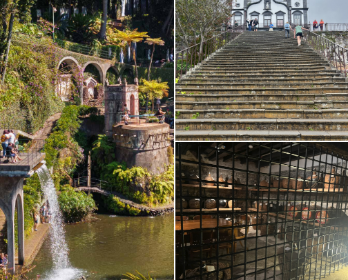 Essential Guide to Madeira cover photo collage