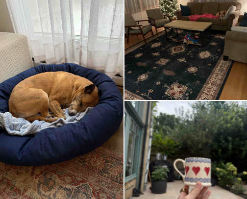 Wirecutter Home and Personal Items I Use and Recommend 🤓 cover photo collage