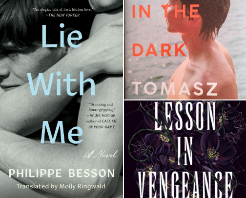queer / lgbtq+ book recs! cover photo collage