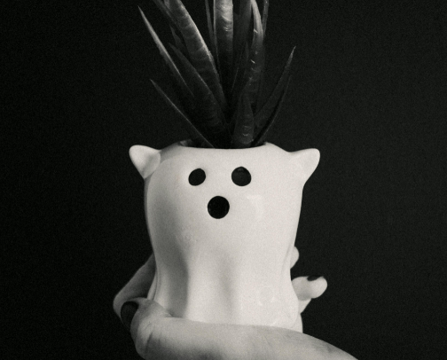 The Soft Side of Spooky cover photo collage