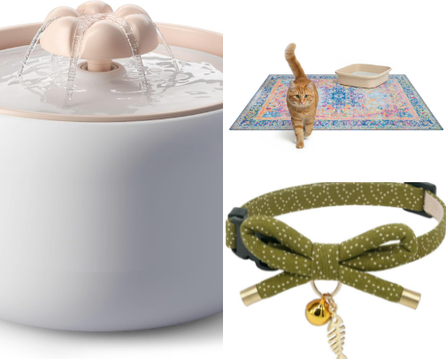 Luxury Cat Essentials and High End Cat Products cover photo collage