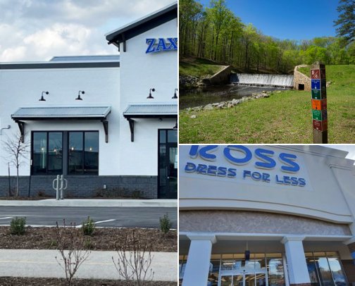 My top local recs cover photo collage