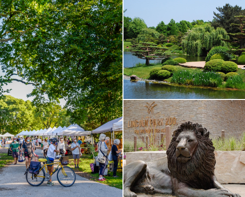 Windy City Wonders: My Favorite Chicago Eats, Sights & Chill Spots cover photo collage