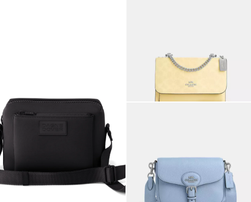 Hold My Purse! cover photo collage
